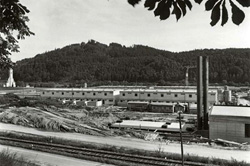 Puchenau, Bau der Gartenstadt I, 1966